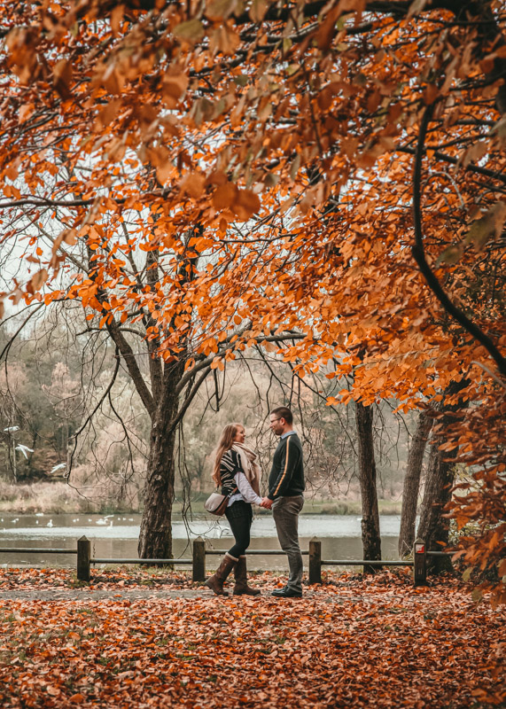 engagement photographs in autumn
